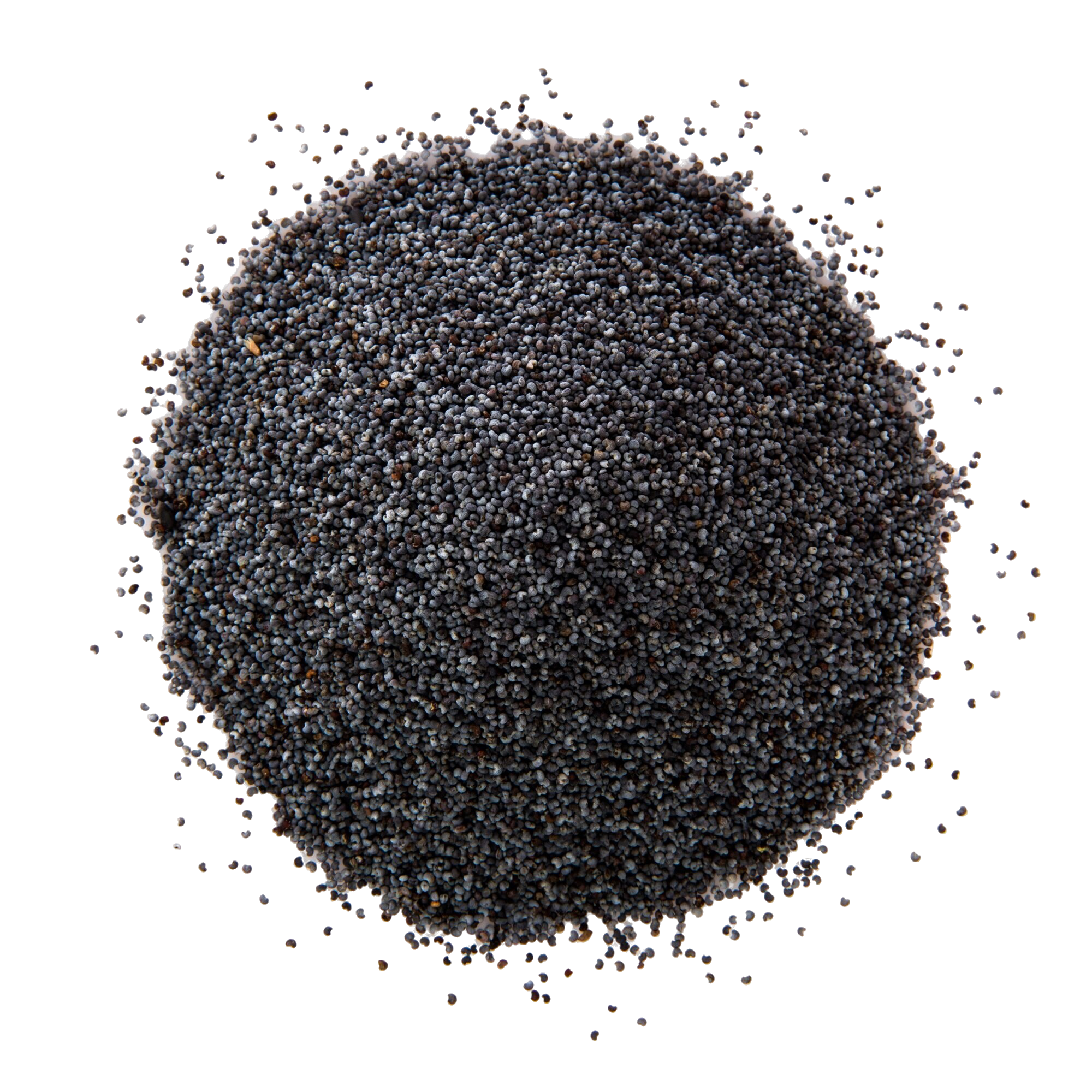 Semillas de Ajonjolí Negro