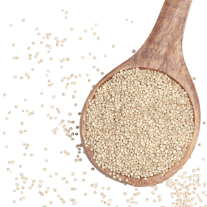 Quinoa